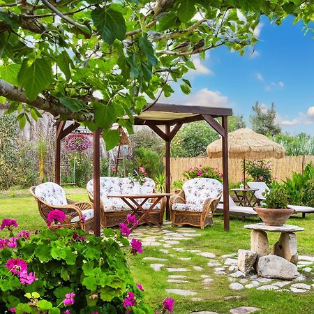 Pretty Spiti Holiday Retreat 拉加纳斯 外观 照片