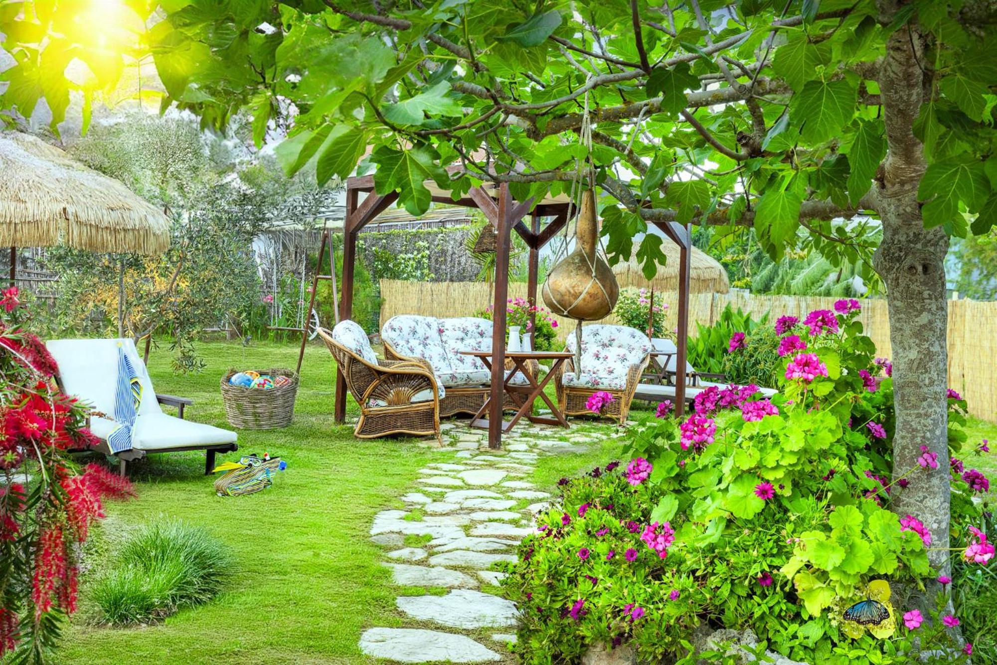 Pretty Spiti Holiday Retreat 拉加纳斯 外观 照片